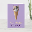 Recherche de chats de calicot vœux cartes Pour tous