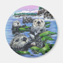 Recherche de loutre magnets Alaska