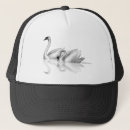 Recherche de cygnes casquettes Nature