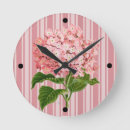 Recherche de hortensias horloges Rose