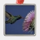 Recherche de bec ornements Oiseau