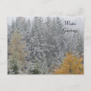 Recherche de whistler cartes postales Neige