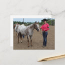 Recherche de équin cartes postales Beau