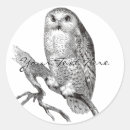 Recherche de hibou blanc autocollants Faune