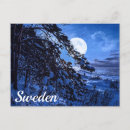 Recherche de arbre de sapin cartes postales Neige