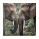 Recherche de éléphant mignon carreaux Amour