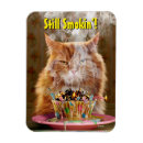 Recherche de m grincheux magnets Fête