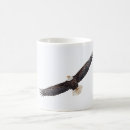 Recherche de aigle chauve tasses Fierté américaine