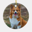 Zoek naar welsh corgi ornamenten Huisdier