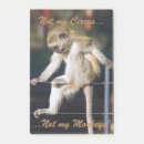 Recherche de singe idiot posters Drôle