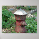 Zoek naar brandkranen posters Fotografie