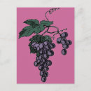 Recherche de vins cartes postales Mode