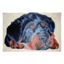 Recherche de animaux portraits Amoureux des chiens
