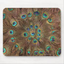 Recherche de plumes tapis souris Motif