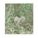 Recherche de écureuils blocsnotes Drôle