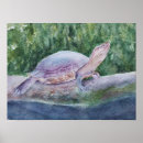 Recherche de tortue aquarelle art Coloré
