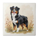 Recherche de moutons noirs carreaux Animaux