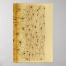 Recherche de neurones posters Cerveau