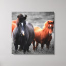 Zoek naar hengst kunst Zwart wit