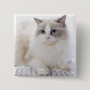Recherche de clavier badges Mignon