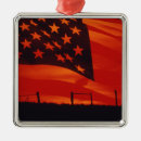 Recherche de drapeau américain ornements Campagne