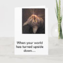 Zoek naar goede vrienden kaarten Katten