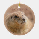 Zoek naar knaagdieren ornamenten Schattig