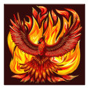 Recherche de légendaire posters Phoenix