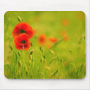 Recherche de coquelicot tapis souris Fleurs
