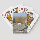 Recherche de hibou jeux de cartes Birding
