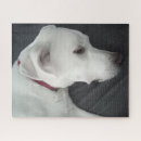 Recherche de beau chien puzzles Amoureux des chiens