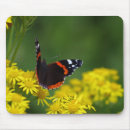 Recherche de papillon rouge tapis souris Insecte