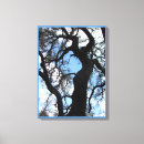 Recherche de ciel bleu nuageux Arbre