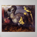 Zoek naar dodo meer kunst Dier