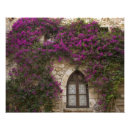 Recherche de fenêtre gothique posters Violet