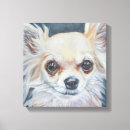 Recherche de chiwawa Illustration
