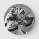 Zoek naar great dane kunst Schattig