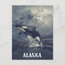 Recherche de orque posters alaska