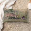 Recherche de habitat coussins Cerf
