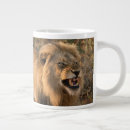 Recherche de lion mugs bouteilles Pour lui