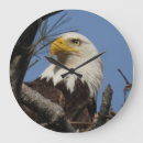 Recherche de aigles horloges Majestueux