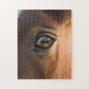 Zoek naar bruine paarden puzzels Mooi