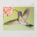 Recherche de vers cartes postales Jardin