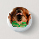 Zoek naar afbeeldingen honden buttons Grappig