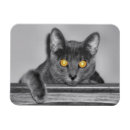 Recherche de souple magnets Gris