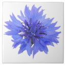 Zoek naar single tegels Blauw