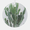 Recherche de cactus ornements Fleur