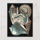 Recherche de coquillages uniques cartes postales Coquillage de conque
