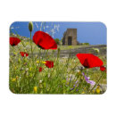 Recherche de acropole magnets Ville