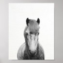 Recherche de cheval noir art Photo de cheval